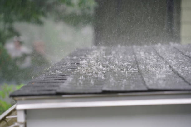 Best Flat Roofing  in Ionia, MI