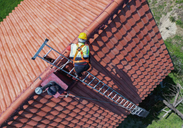 Best Commercial Roofing Services  in Ionia, MI