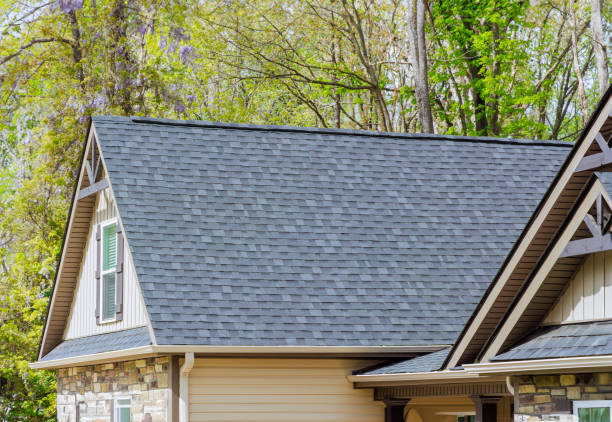 Best Skylight Installation and Repair  in Ionia, MI