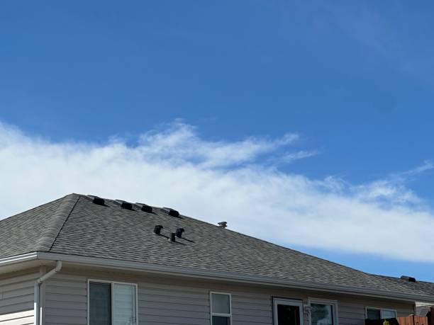Fast & Reliable Emergency Roof Repairs in Ionia, MI
